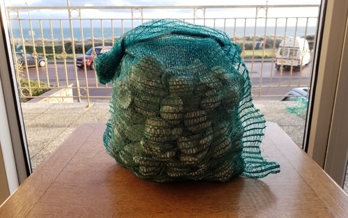 9kg sea clam calcium - calcium, carbonate