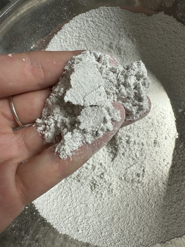 Organic fine oyster - oyster, shell
