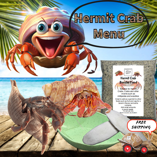 Bugznbits hermit crab - bugznbits, booster